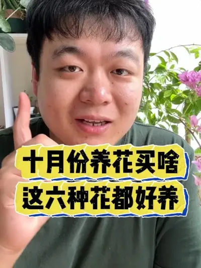 ʮ�·�������ɶ�������ֻ��������� #���� #����С֪ʶ #���� #������ֲ #����