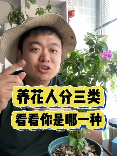养花分为三类人，看看你是哪一种。 #花卉绿植 #养花小知识 #养花 #花卉 #盆栽