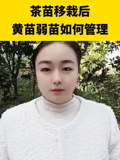 �������Ժ����������ι���#����