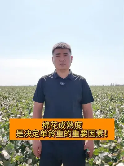 �޻������ �Ǿ��鵥���ص���Ҫ���� #��ũ������2025#ݪֲС���� #������ũ֧����ũ #�½��޻� #֧����ũ������ũ����