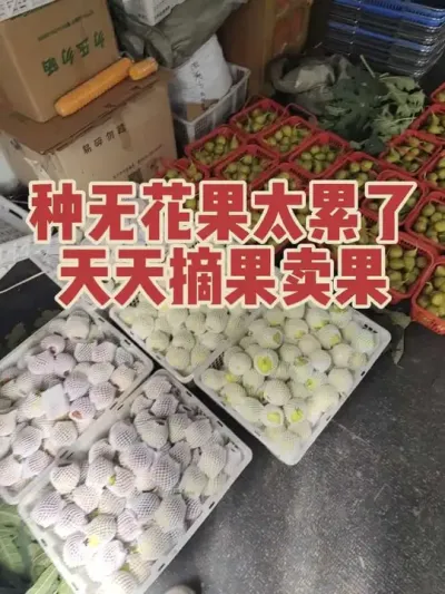 �����Ĺ�����̫�ѿ���?#�����޻���ݪֲרҵ������ #�޻�������