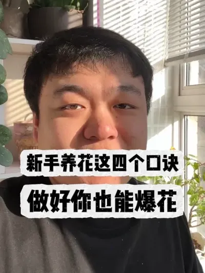 �����������ĸ��ھ���������Ҳ���������� #���� #����С֪ʶ #���� #������ֲ #����