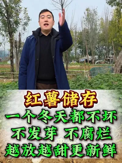 ��������С������һ�����춼���� #�������� #������������ #����ݪֲ #��������Ҫ�� #��������