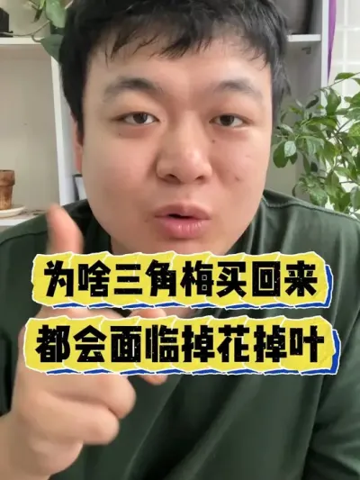 Ϊɶ���ǵ�����÷���������������Ⱶĵ�����Ҷ�� #���� #����С֪ʶ #���� #������ֲ #����