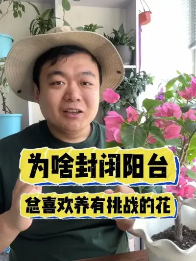 为啥有的花友封闭阳台喜欢养有挑战的花。 #养花 #养花小知识 #花卉 #花卉绿植 #盆栽