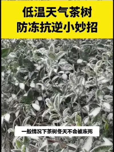 ��������������������С����#����