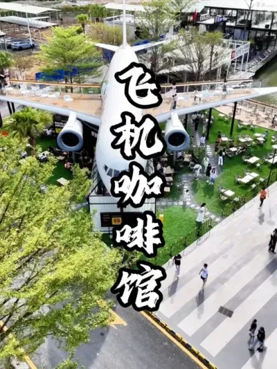 �ɻ�����#��������  #�������  #�ܶ�����  #Ӫ������