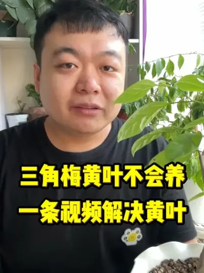 ����÷Ϊɶ�᷺���Ҷ��һ����Ƶ����ȫ����� #���� #����С֪ʶ #���� #������ֲ #����