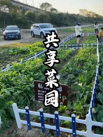 ������԰#��������  #�������  #�ܶ�����  #ũׯ����