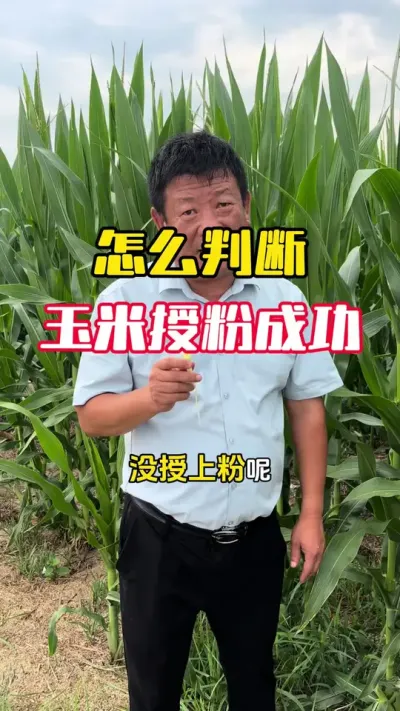 ��ô�ж�������û���ڷ��ֳ���#����ݪֲ #����ݪֲ���� #���׸߲�ݪֲ���� #���׹��� #ë��������߲�����