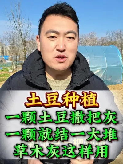 ��������һ�ѻ��������ܽ�һ��� #���� #������ֲ #������ֲ���� #�����߲� #ũҵ