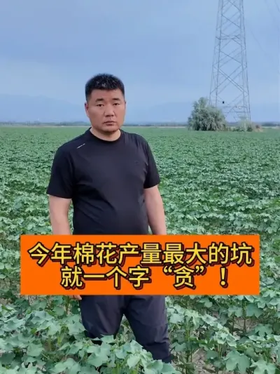 ����Ҫ̰ #����ũҵ֪ʶ��ũ����������#ݪֲС���� #���վ�ѡ���� #��ũ������������ #��ũ������������