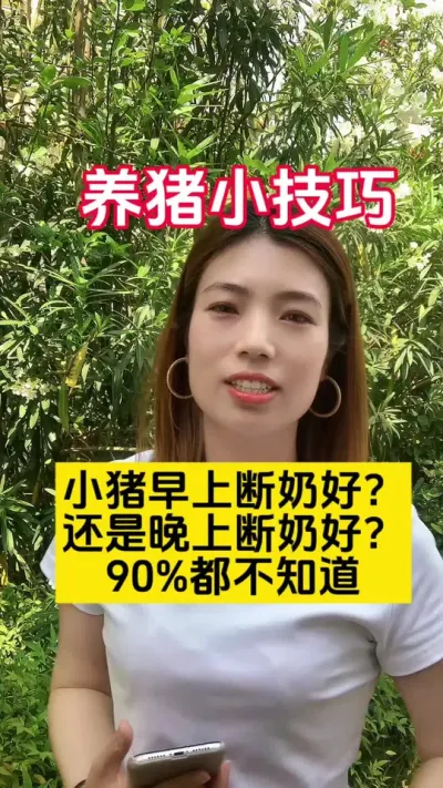 #养猪致富 #养猪小技巧 #养猪技术经验分享 #三农养殖业 #养猪人