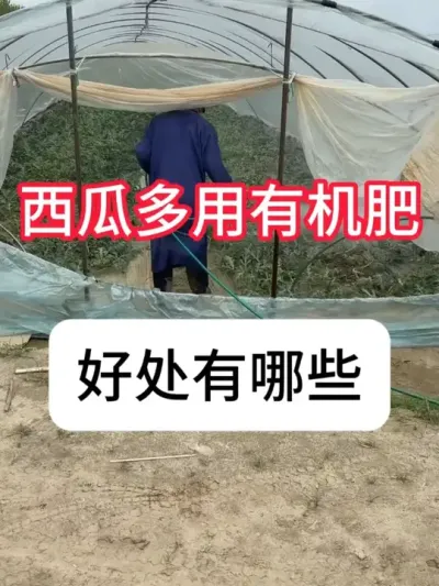 ���ϵ׷���ʲô����������ϵ׷�ѡ�� #����ݪֲ #ݪֲС���� #�л��� #ũ���ƹ� #������ũ