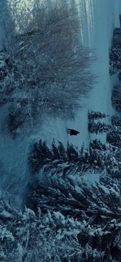 ��ý������������˳��ͨ�ص�һ�꣡��һ����ѧϰһֱ���ջ��������ж�����������֧�����µ�һ��������Ȱ��������������ٽ��������ø��õ����ݻ���ÿһ���ڴ���#��ũ #����ݪֲ #����ݪֲ���� #�������� #��