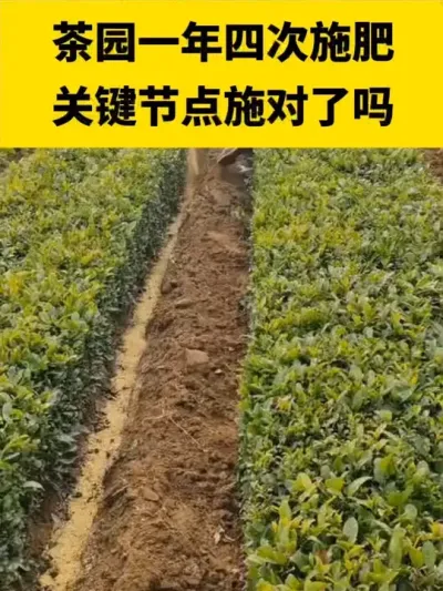 ��԰һ���Ĵ�ʩ��Ҫ���ڵ�ʩ������#����