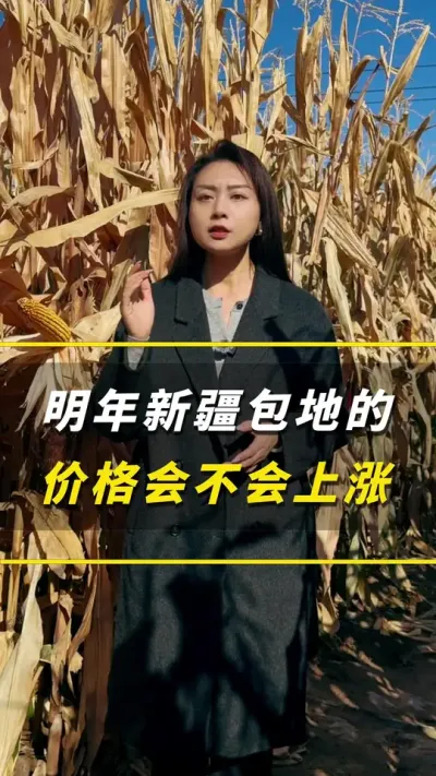 �����½��İ��ؼ�Ǯ�᲻��������#��ũ #����ݪֲ #����ݪֲ���� #�������� #������ũ��