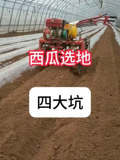 ݪֲ��������ѡ���� ����ѡ���Ĵ��#��ũ #���� #ũҵ #����ݪֲ #����ݪֲ