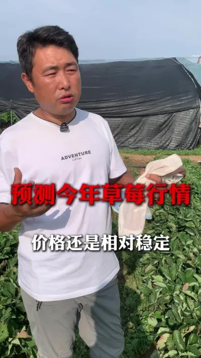 ��Ǯ�վ�����ȹ̵�#��ݮݪֲ #��ݮ���� #��ݮݪֲ���� #����ũҵ֪ʶ��ũ���������� #��ũ������