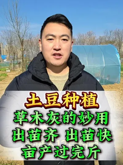 �������ϲ�ľ�������������� #������ֲ #�������� #�����߲� #���� #��ũ�������ּƻ�