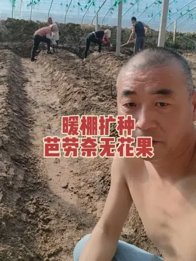 �����������겻��ֹ��Ӧ�����޻���#�����޻���ݪֲרҵ������ #�޻�������