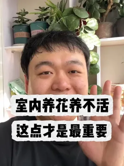 ��������������������������Ҫ�� #����С֪ʶ #���� #���� #������ֲ #����