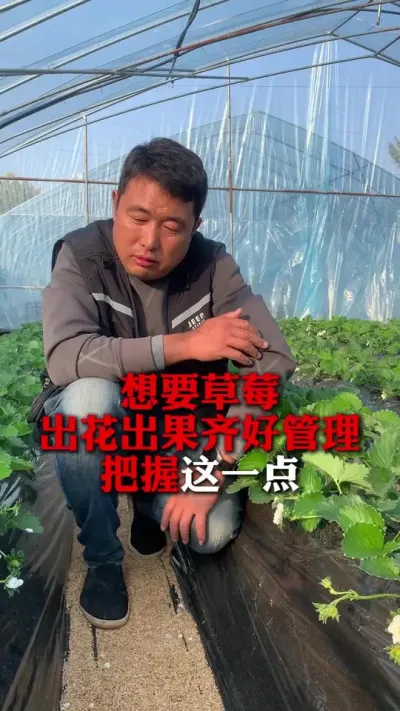 Ҫݮù պһ#ݮݪֲ #ݮ #ݮݪֲ #ũҵ֪ʶũ #ũ