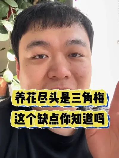 ������ֹ��������÷���������������֪������ #���� #���� #����С֪ʶ #������ֲ #����