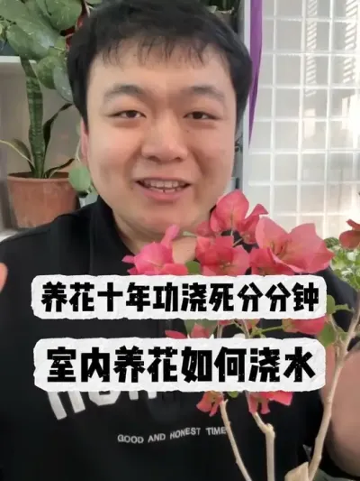 ����ʮ�깦����ˮ����Ҫ���� #������ֲ #����С֪ʶ #���� #���� #����