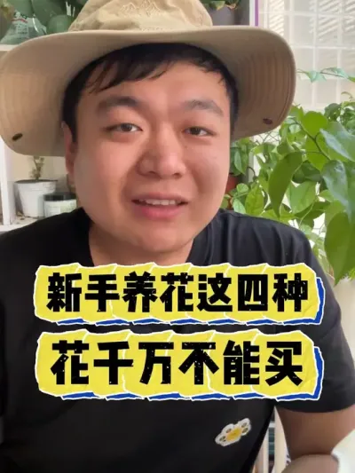 �������������ֻ������򲻿����� #���� #����С֪ʶ #���� #������ֲ #����