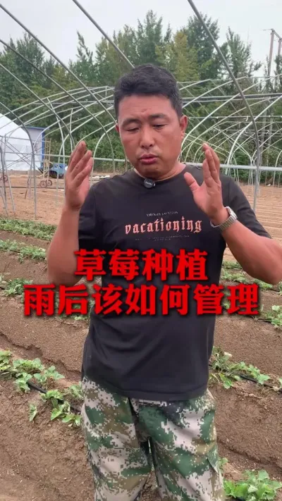 ݮô׼ȷ#ݮݪֲ #ݮݪֲ #ݮ #ũҵ֪ʶũ #ũ