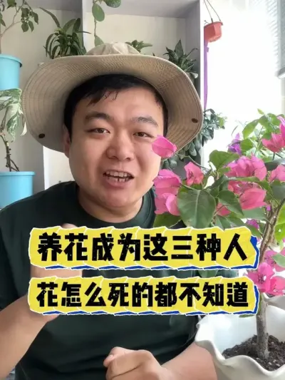 养花成为这三种人，花咋死的都不知道， #养花 #养花小知识 #花卉 #花卉绿植 #盆栽