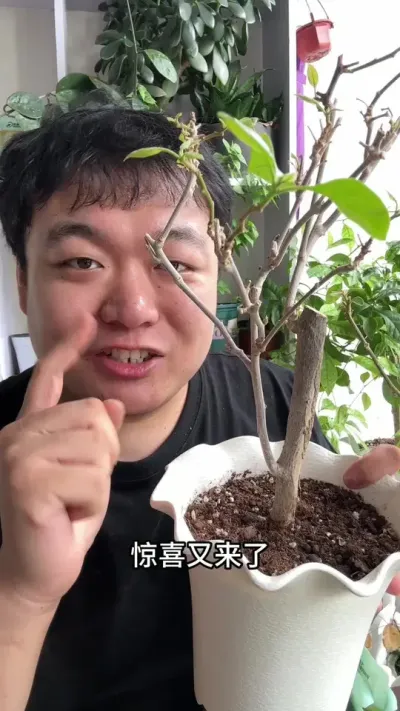 �����ӵ�������÷�����˶��ɷʾ�Ȼ��ѿ���� #���� #����С֪ʶ #���� #������ֲ #����