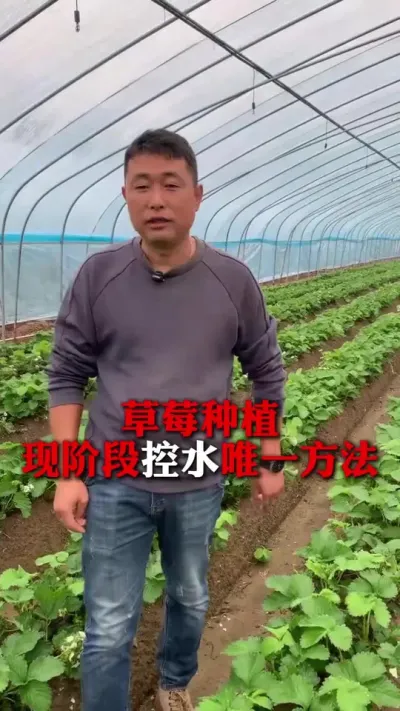 ��ˮΨһҪ��#��ݮݪֲ #��ݮ���� #��ݮݪֲ���� #����ũҵ֪ʶ��ũ���������� #��ũ������