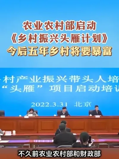 ͷδԵũ#ũҵũ岿 #ͷ#·