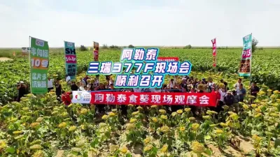 ����377F�ֳ���Բ���ֳ���#�����