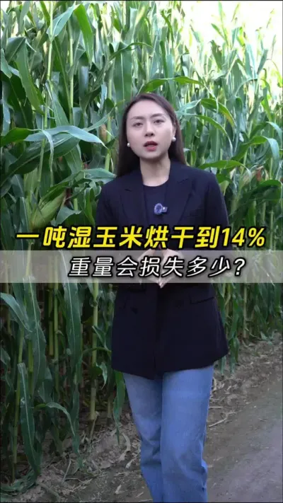 һ��ʪ���׺�ɵ�14��ˮ������������ʧ������#��ũ #����ݪֲ #����ݪֲ���� #�������� #������ũ��