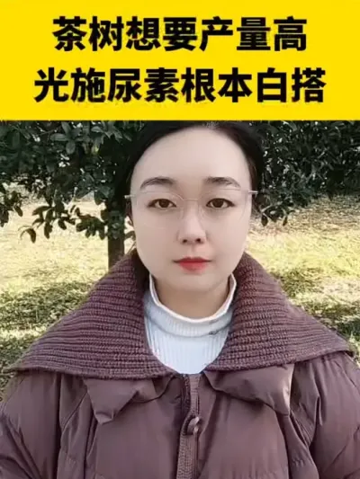 ������Ҫ����������ʩ���ػ����״�#����