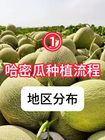 ܹݪֲ ܹݪֲѡȫ̼ƻ#ܹ #ݪֲ  #  #ũ֧ũ #ũҵС֪ʶ