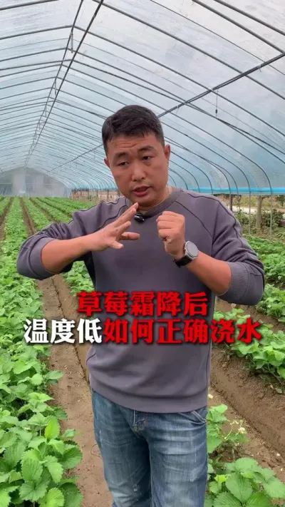 ˪��������׼ȷ��ˮ#��ݮݪֲ #��ݮ���� #��ݮݪֲ���� #����ũҵ֪ʶ��ũ���������� #��ũ������