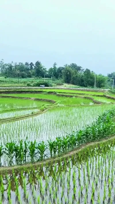 Сʱ����������������ƾ����ɼ����δ�������ٲ����������������Թ�������̫Զ���ɼ����δ��Թ�ҳٳٲ��飡 #���Ӱ�� #ũ������ #ͯ����� #ũ�徰�� #��С����ĵط�