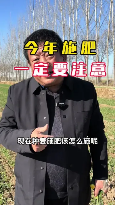 ����ʩ��һ��Ҫע��##С��#С��ݪֲ#ݪֲ�� #С��߲�#ë��������߲�����