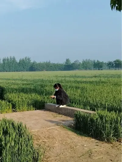 ���������߹�����·���������ྰ��������Զ��������������ľ�����Ȼû�ж��ᷱ�������Ƿ��徲����ů��ȴ��������õĹ���#�ҵ���������#���Ӱ��