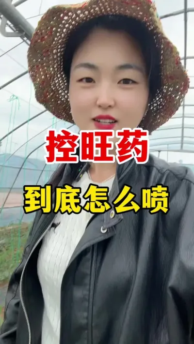 控旺药应该怎么喷？您都做对了吗#农业种植技术 #西红柿种植技术