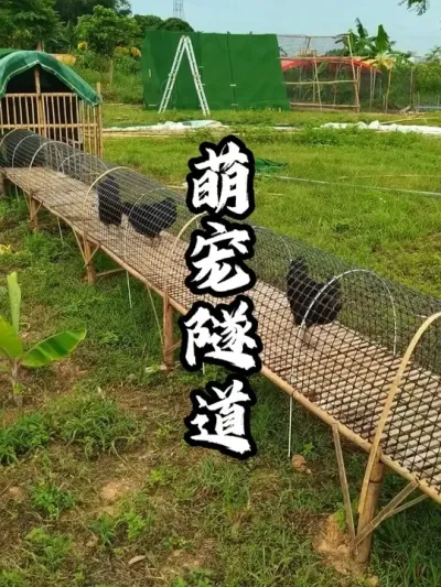 �ȳ�����#��������  #�������  #�ܶ�����  #ũׯ����