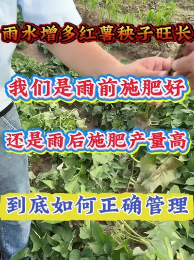 ����׷��������ǰ׷�ʺ����վ����׷�ʲ�����#����ݪֲ  #�����߲�ݪֲ  #�����߲�  #����ݪֲ֪ʶ