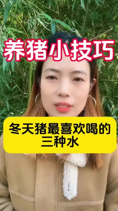 #�����˼��͸� #�����˽�ֹ�� #������