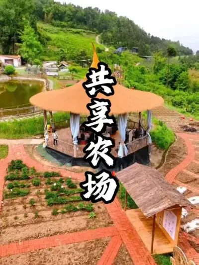 ����ũ��#��������  #�������  #�ܶ�����  #ũׯ����