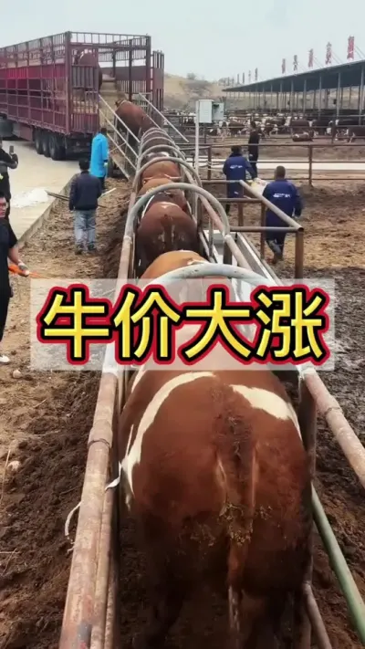 ţ�۴���#ţ������ #ţ������ #ţ��