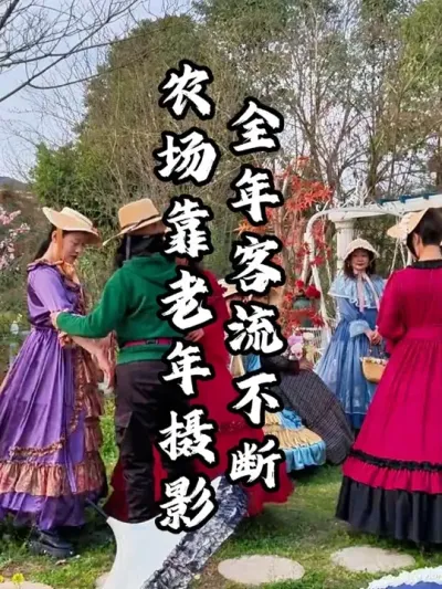 农场主打老年摄影项目，做到全年365天客流不断#游云文旅 #规划设计 #乡村振兴 #周二课堂
